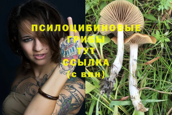 амфетамин Наволоки