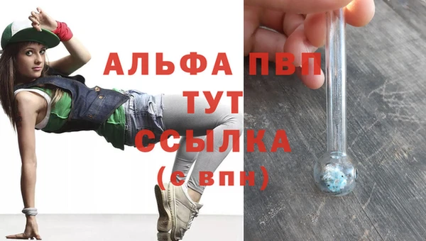 СК Березники