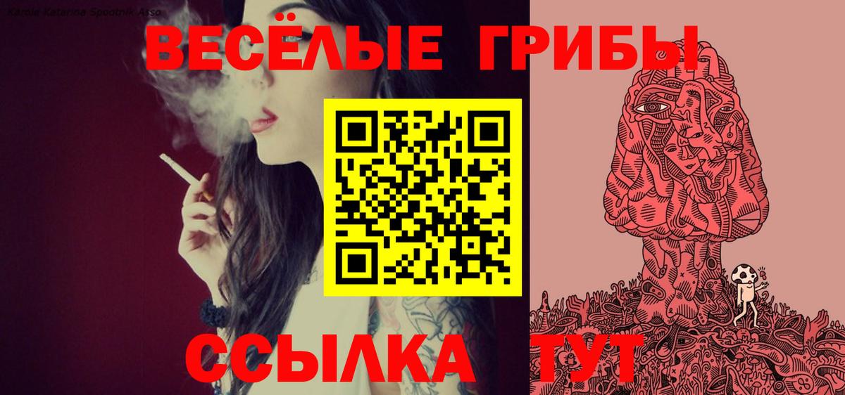 Тольятти  где купить наркоту  Вход с VPN  Псилоцибиновые грибы Psilocybe 